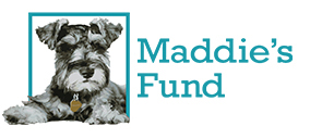 maddiess fund