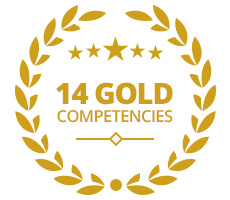 Microsoft Gold Competencies