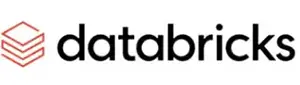 Databricks Partner