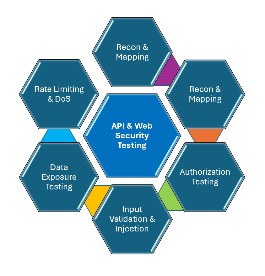 API and Web Application Security Testing